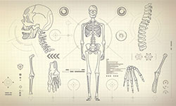 Evaluation and Treatment of Pain