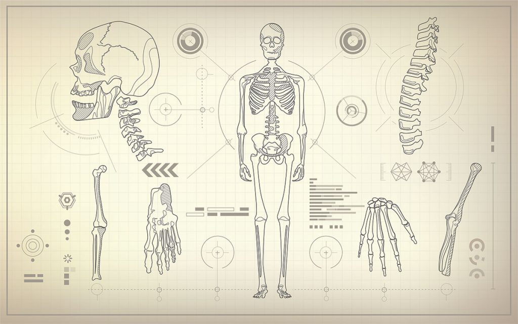 Evaluation and Treatment of Pain